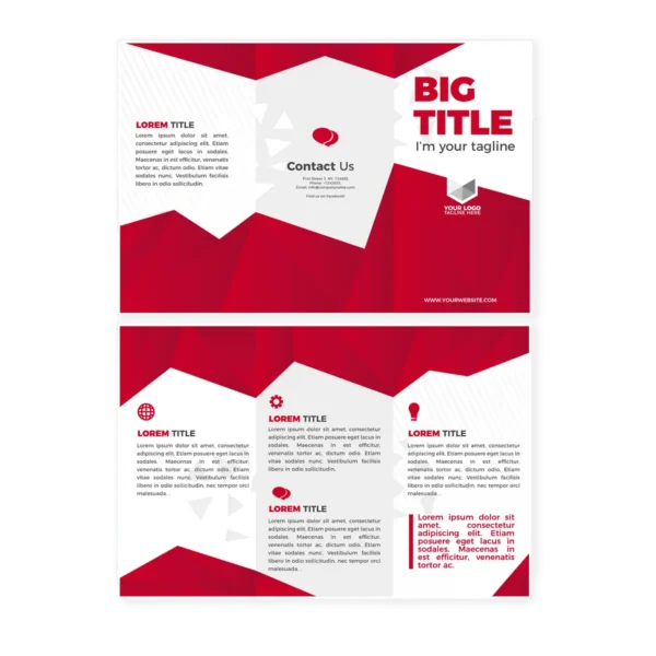 Accordion Fold Brochure PRinting